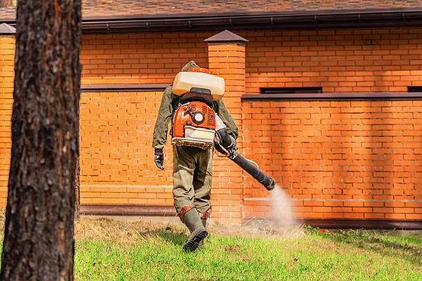 Trusted Cockroach Control service in Feather Sound, FL - Nex Pest Control